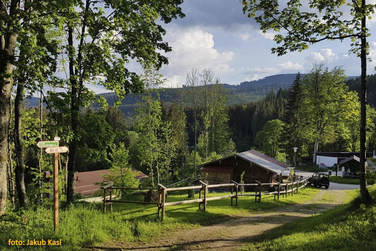 Pension Aspen Železná Ruda Exterior foto
